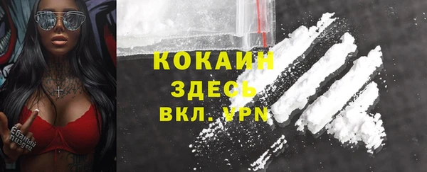 не бодяженный Алексин