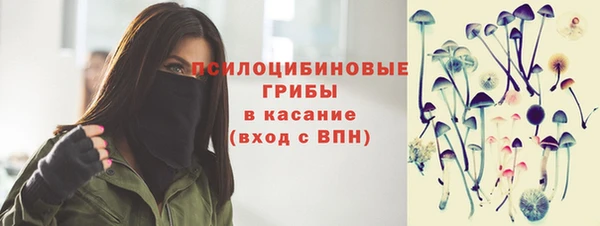 крисы Арсеньев