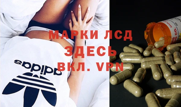 гидропоника Аркадак