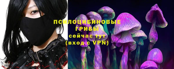 гидропоника Аркадак
