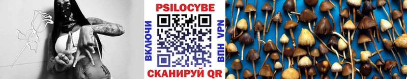 гидра зеркало  Фрязино  shop наркотические препараты  Галлюциногенные грибы GOLDEN TEACHER 